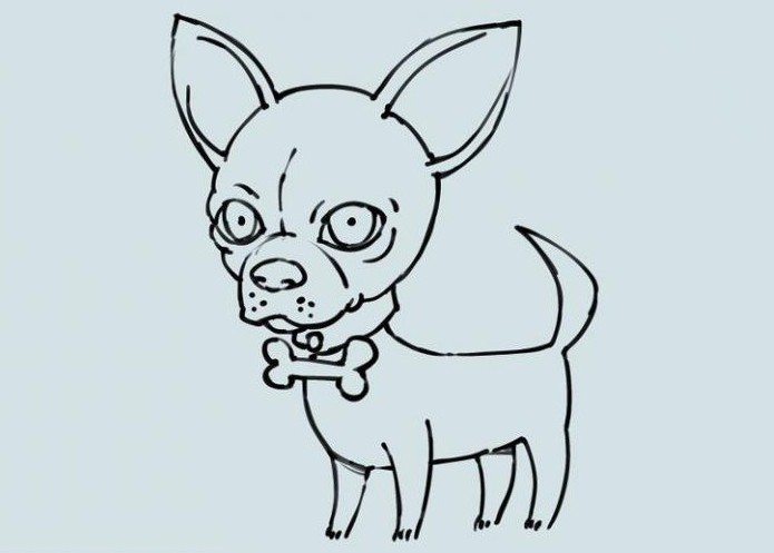 hvordan man tegner en chihuahua hund med en blyant